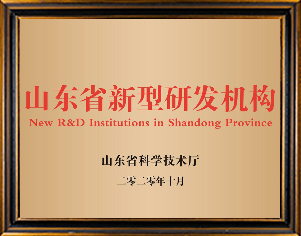 New R&D Institutions in Shandong Province
