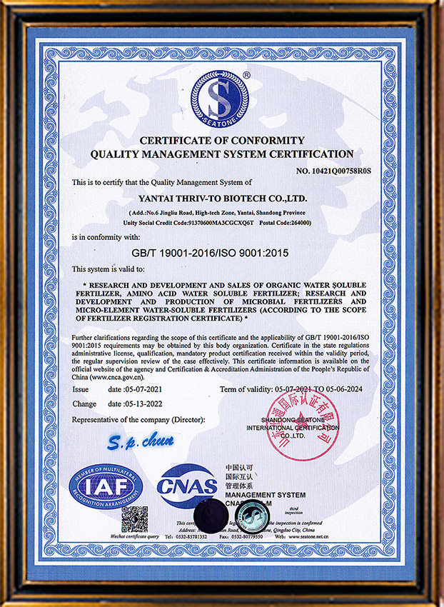 Certificate of conformity quality management system certification