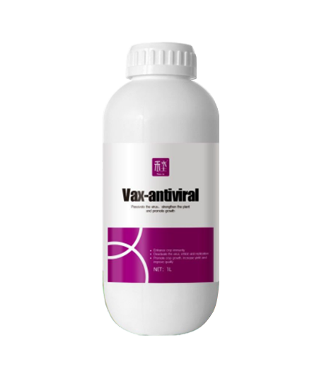 Vax-antiviral